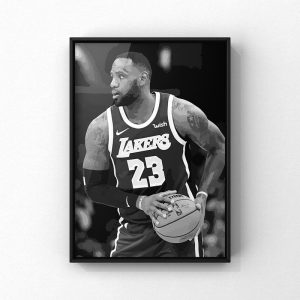 Lebron James 101